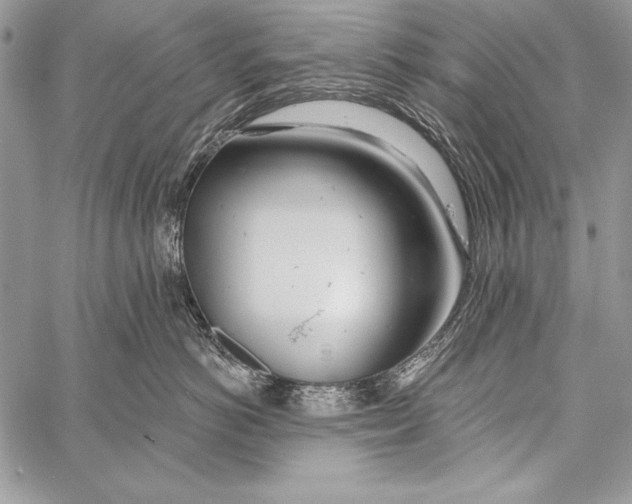 X0000058120766200510171310