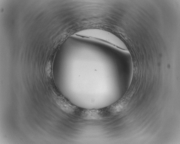 X0000058120767200510171310