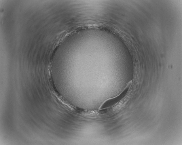 X0000058120768200510171310