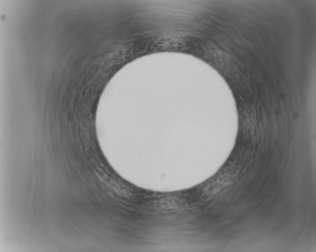 X0000058120769200510171309