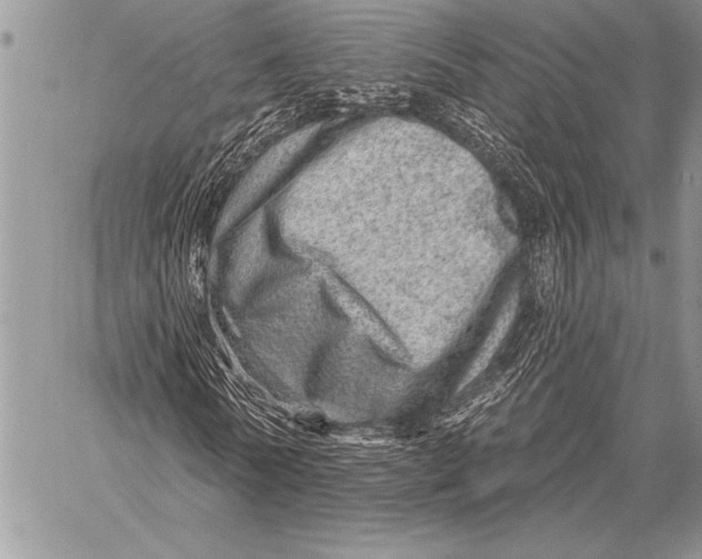 X0000058120770200510171309