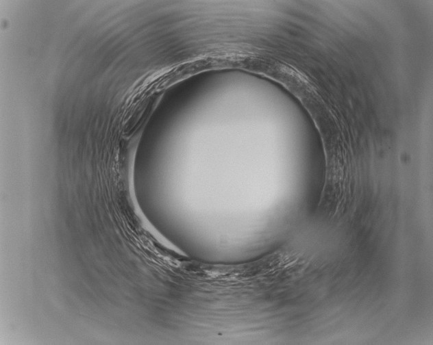 X0000058120773200510171309