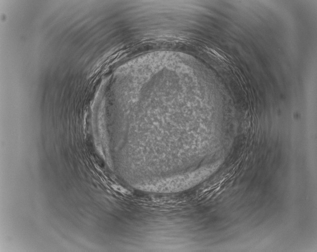 X0000058120774200510171309