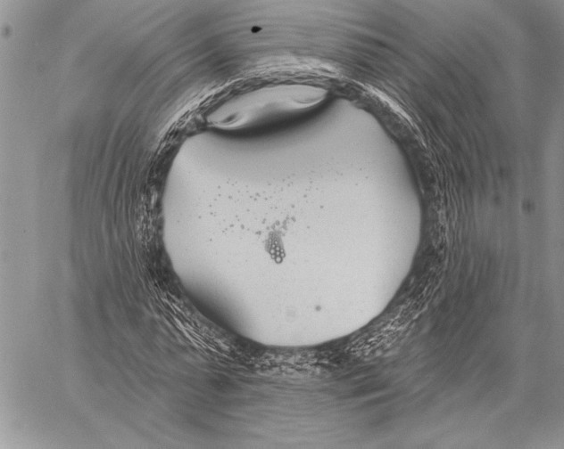 X0000058120775200510171309