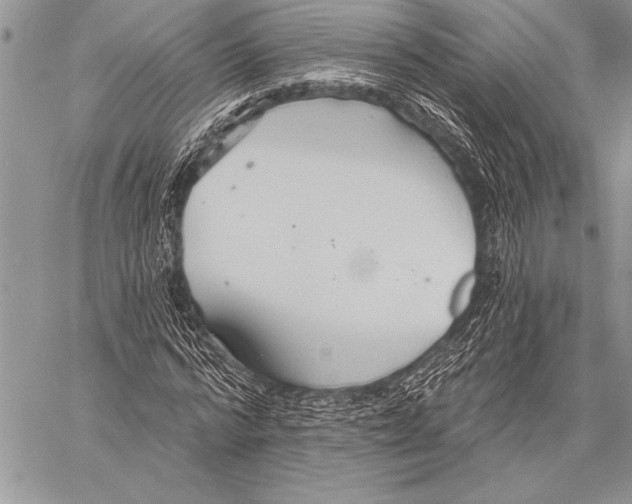 X0000058120776200510171309