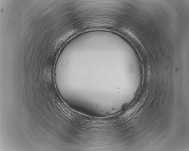 X0000058120777200510171309