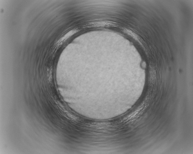 X0000058120778200510171309