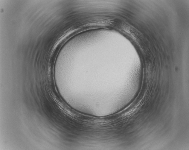 X0000058120779200510171309