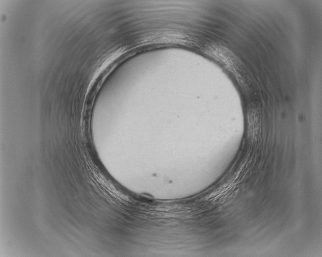 X0000058120780200510171309