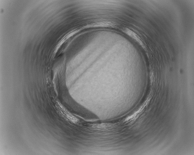 X0000058120781200510171309