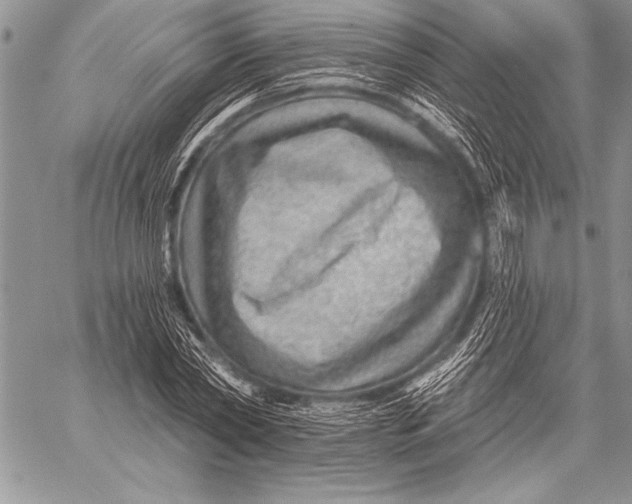 X0000058120782200510171309