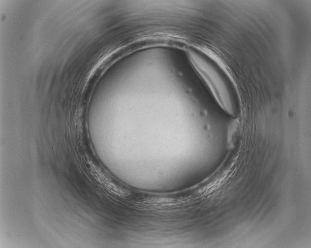 X0000058120783200510171309