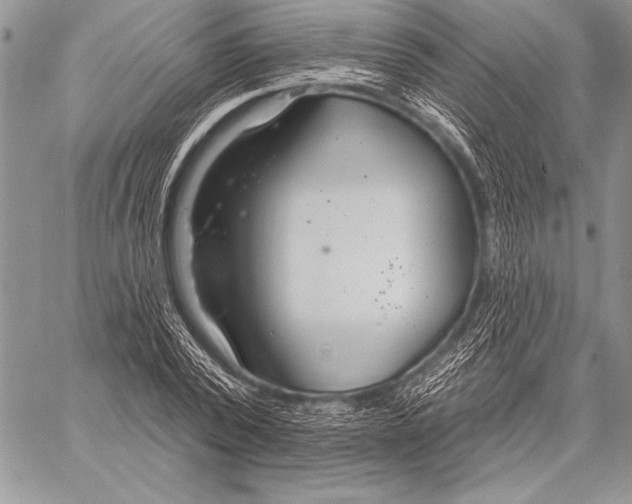 X0000058120784200510171309