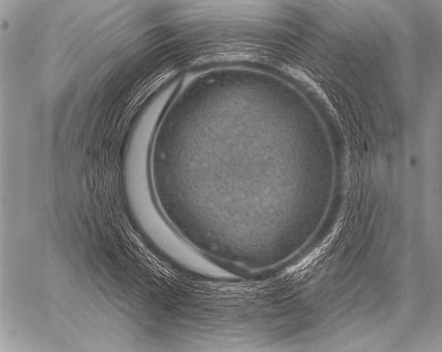 X0000058120785200510171309