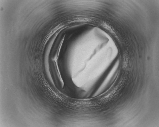 X0000058120786200510171309