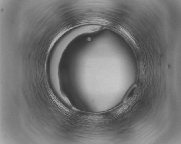 X0000058120788200510171309