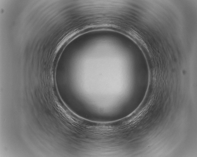 X0000058120789200510171309