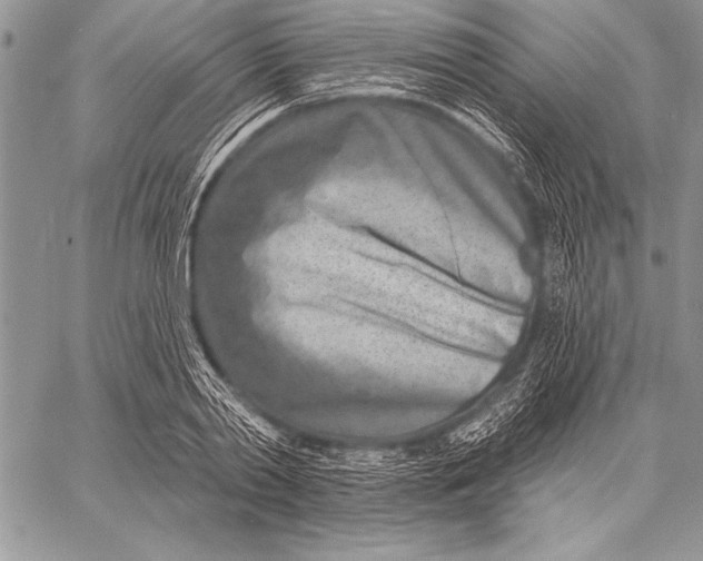 X0000058120790200510171309