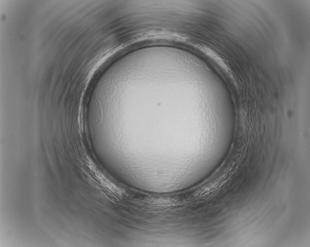 X0000058120791200510171309