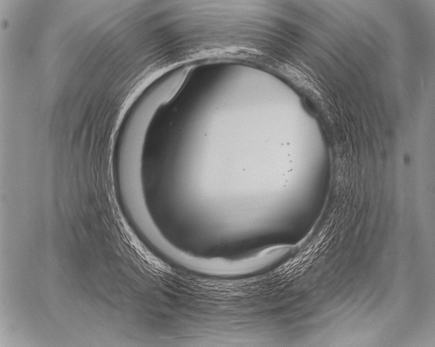 X0000058120792200510171309