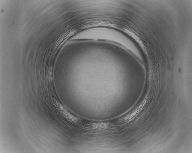 X0000058120793200510171309