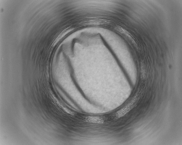 X0000058120794200510171309