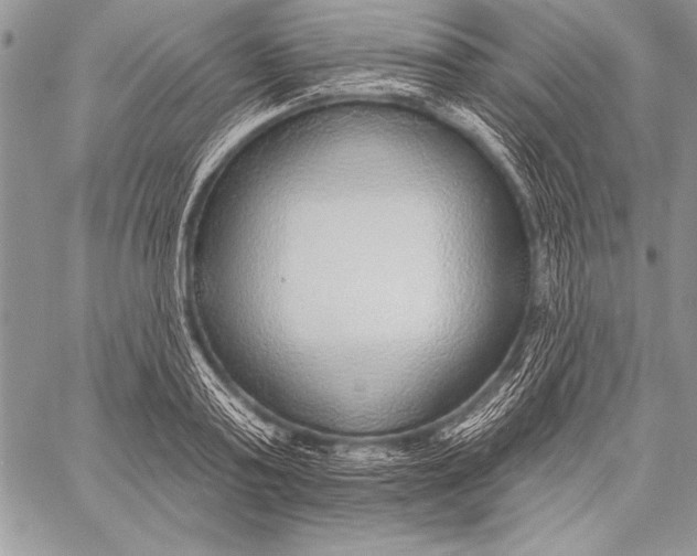 X0000058120795200510171309