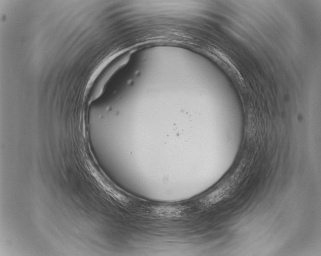 X0000058120796200510171309