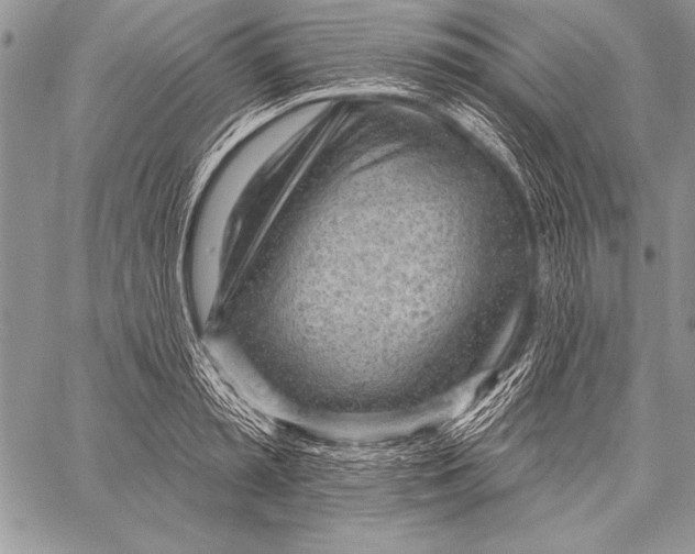 X0000058120797200510171309