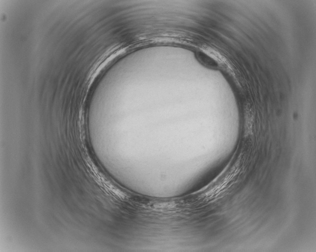 X0000058120798200510171309