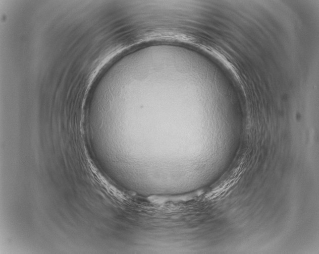 X0000058120799200510171309