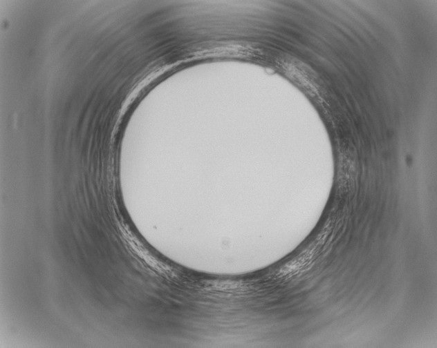 X0000058120800200510171309