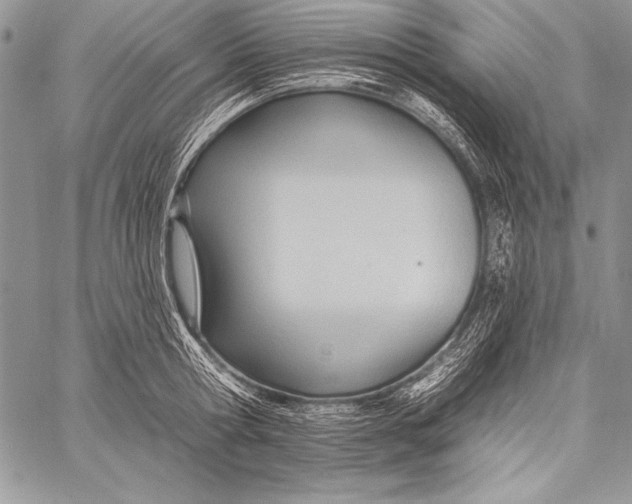 X0000058120802200510171309