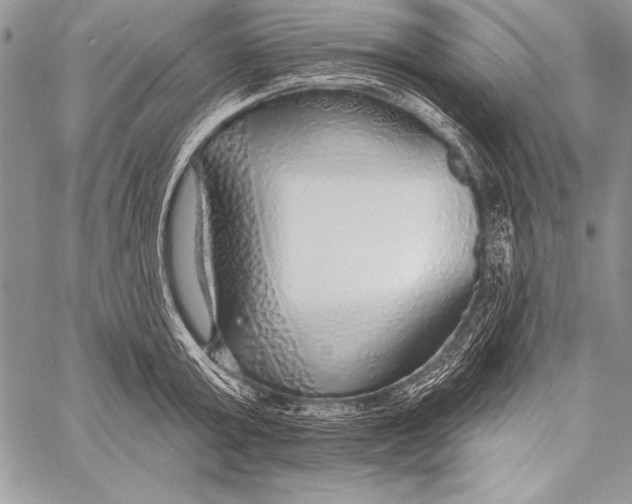 X0000058120803200510171309