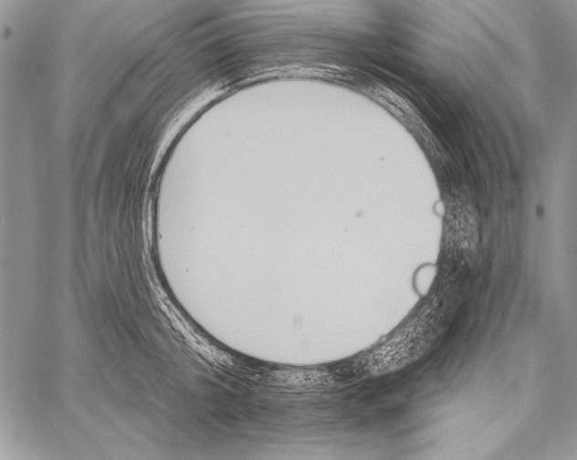 X0000058120804200510171309