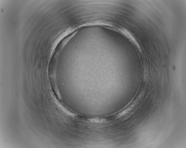 X0000058120805200510171308