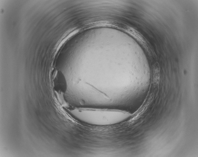 X0000058120806200510171308