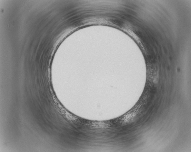 X0000058120807200510171308