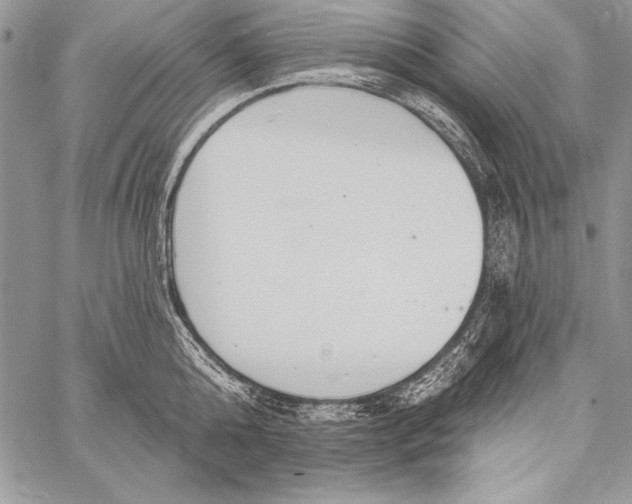 X0000058120808200510171308