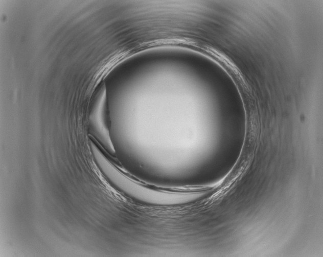 X0000058120809200510171308