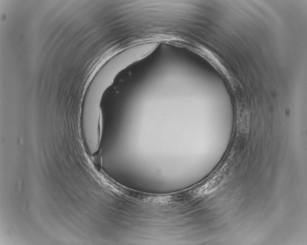 X0000058120810200510171308