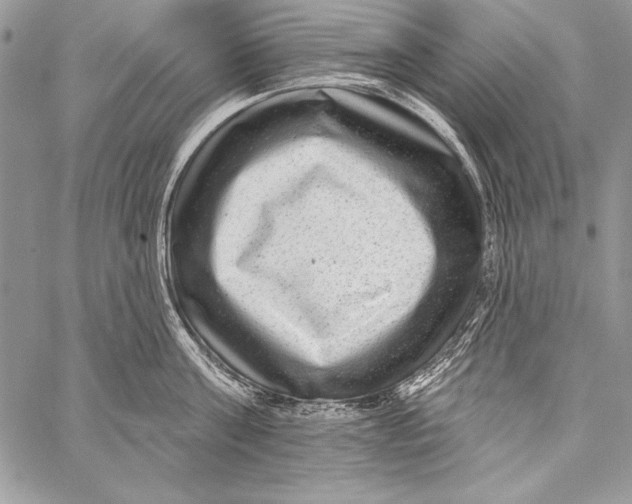 X0000058120811200510171308