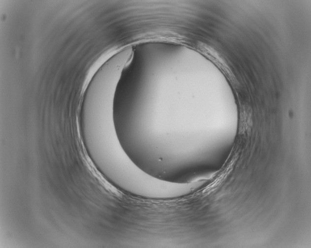 X0000058120812200510171308