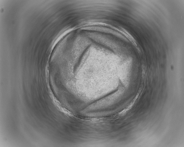 X0000058120814200510171308