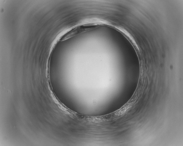 X0000058120815200510171308