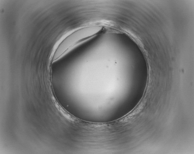 X0000058120816200510171308