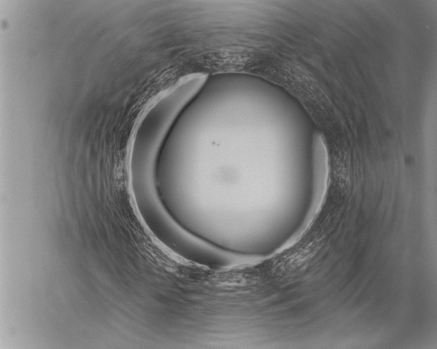 X0000058120818200510171308