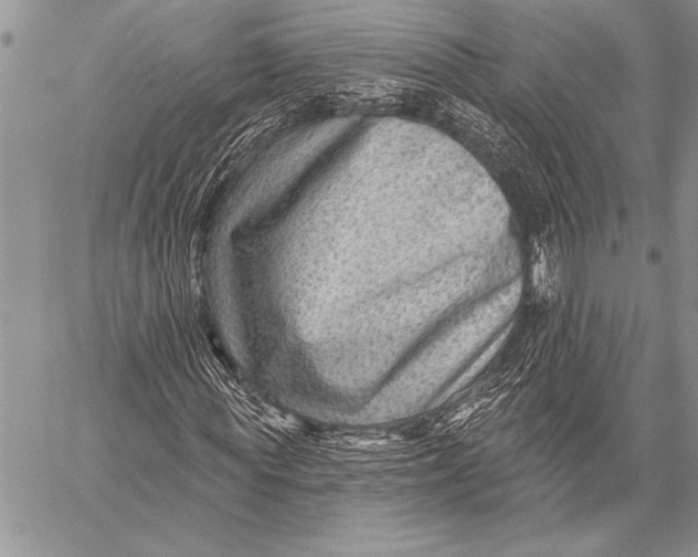 X0000058120819200510171308