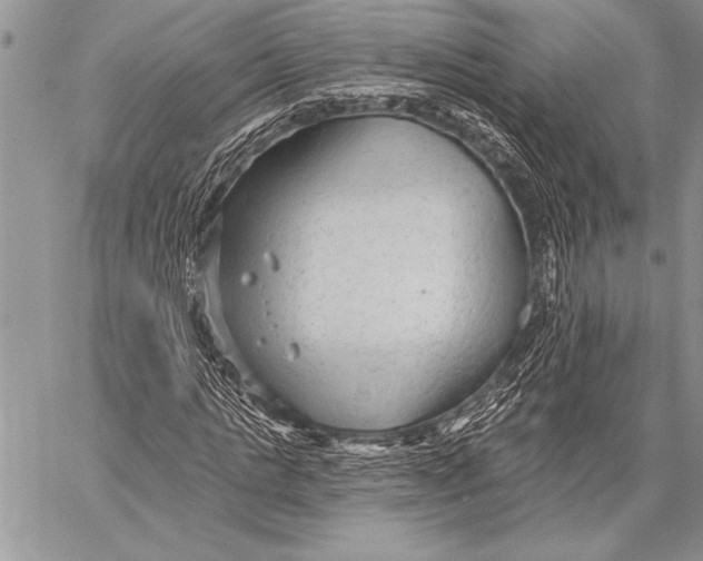 X0000058120821200510171308