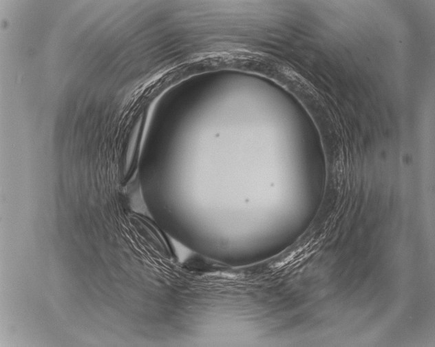 X0000058120822200510171308